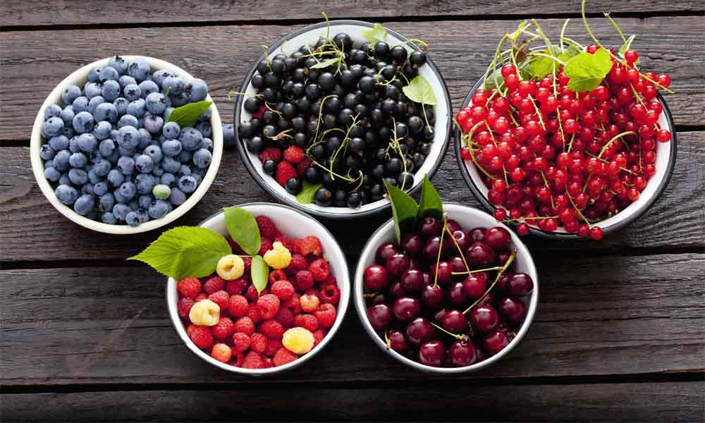 Berries-NewsORB360