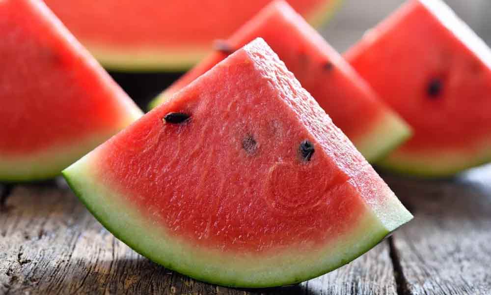 Watermelon-NewsORB360