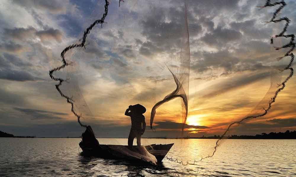 Great-white-sharks-disappear-NewsORB360